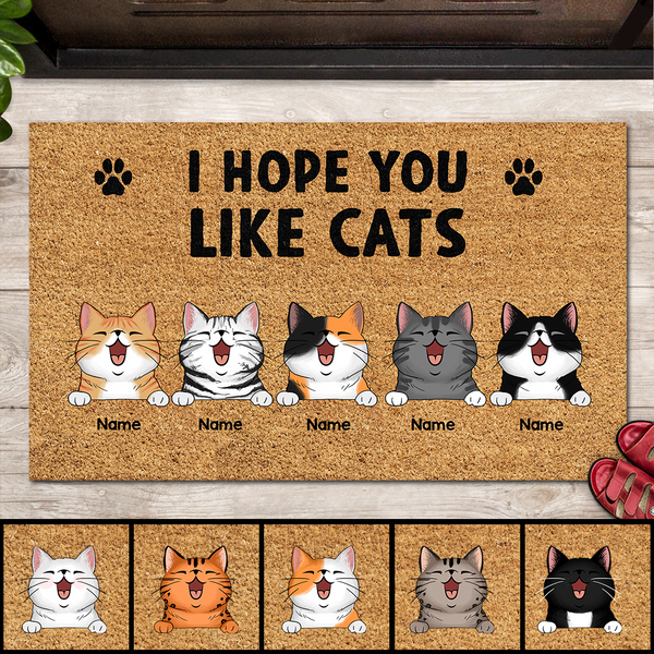 Pawzity Personalized Doormat, Gifts For Cat Lovers, I Hope You Like Cats Outdoor Door Mat