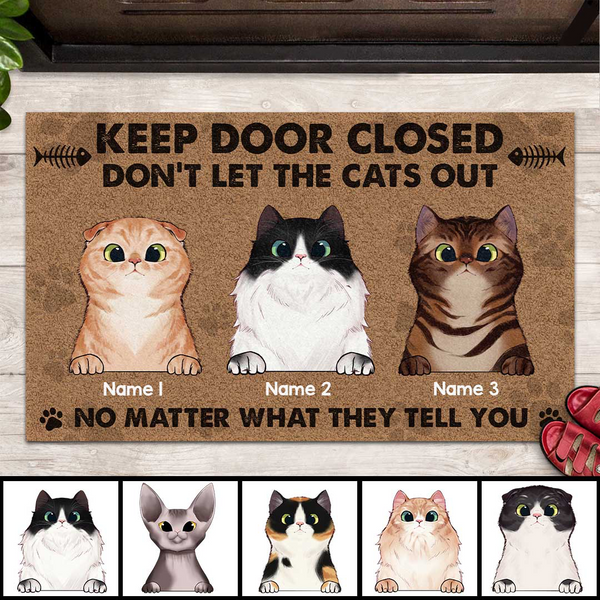 Pawzity Front Door Mat, Gifts For Cat Lovers, Keep Door Closed Don't Let The Cats Out No Matter What They Tell