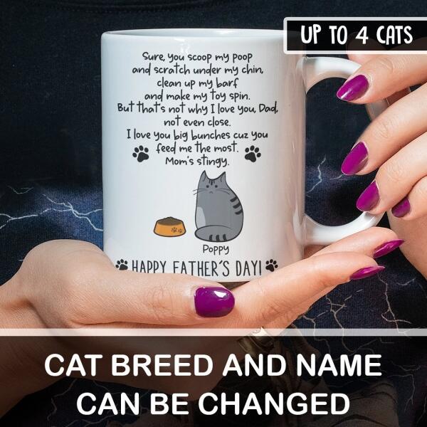 Dad Thanks For Scoop My Poop Cat Customized Mug