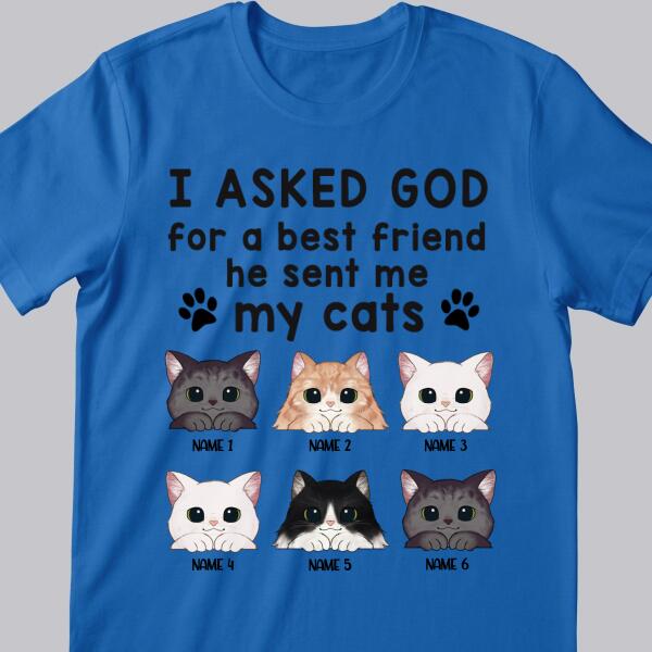 I Asked God For A Best Friend, He Sent Me My Cats - Personalized Cat T-shirt