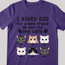 I Asked God For A Best Friend, He Sent Me My Cats - Personalized Cat T-shirt