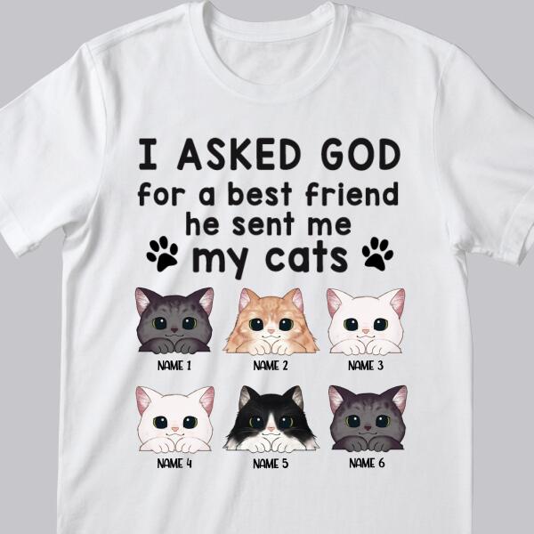 I Asked God For A Best Friend, He Sent Me My Cats - Personalized Cat T-shirt