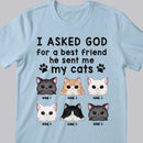 I Asked God For A Best Friend, He Sent Me My Cats - Personalized Cat T-shirt