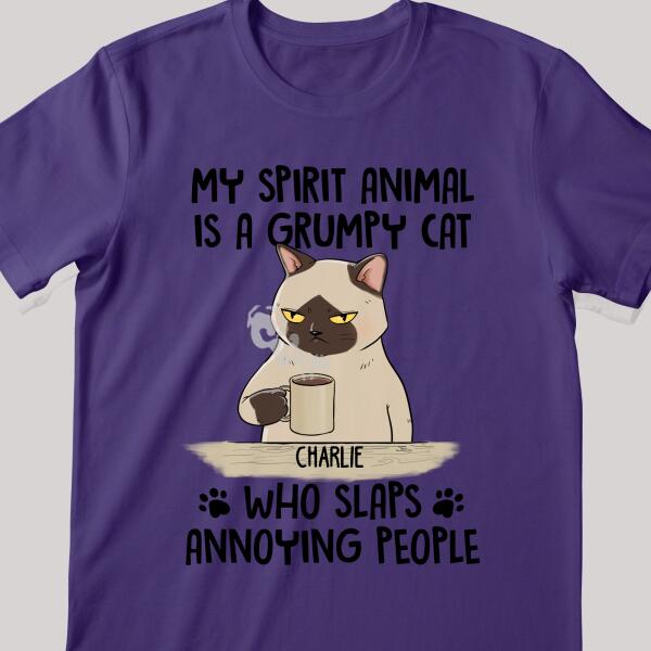 My Spirit Animal Is A Grumpy Cat - Personalized Cat T-shirt