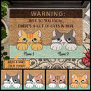 Pawzity Custom Mat, Gifts For Cat Lovers,  Warning Just So You Know There's A Lot Of Cats In Here