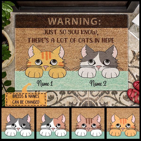 Pawzity Custom Mat, Gifts For Cat Lovers,  Warning Just So You Know There's A Lot Of Cats In Here
