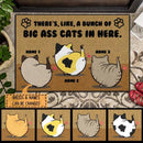 Pawzity Custom Mat, Gifts For Cat Lovers, There's Like A Bunch Of Big A*s Cats In Here Outdoor Door Mat