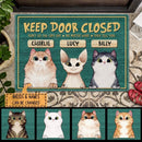Pawzity Custom Doormat, Gifts For Cat Lovers, Keep Door Closed Don't Let The Cats Out Green Front Door Mat