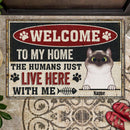 ﻿Pawzity Welcome To Our Home Custom Doormat, Gifts For Cat Lovers, Metal Style Front Door Mat