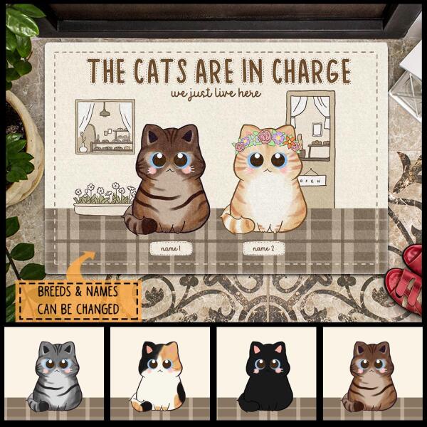 Pawzity Custom Doormat, Gifts For Cat Lovers, The Cat Is In Charge Cats In Home Front Door Mat