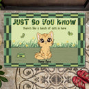 Pawzity Custom Doormat, Gifts For Cat Lovers, Just So You Know There's Like A Bunch Of Cats In Here