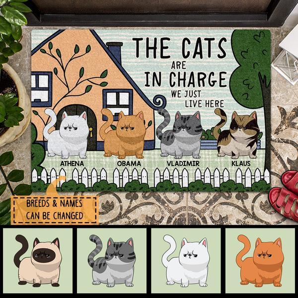 Pawzity Personalized Doormat, Gifts For Cat Lovers, The Cats Are In Charge Front Door Mat