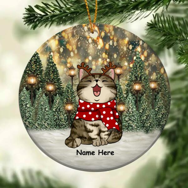 Christmas Night Light - Personalized Cat Christmas Ornament