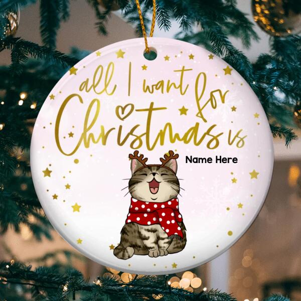 All I Want For Christmas Is - Winter Cats - Pinktone - Personalized Cat Christmas Ornament