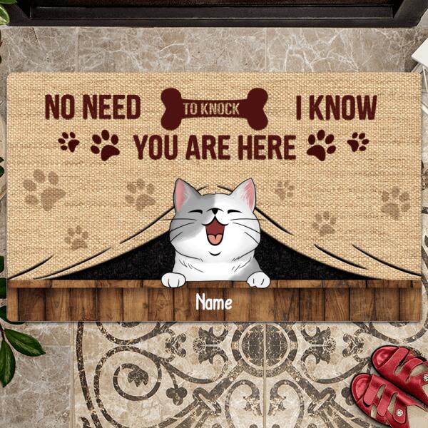 Pawzity No Need To Knock Personalized Doormat, Gifts For Cat Lovers, We Know You Are Here Vintage Front Door Mat