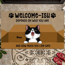 Pawzity Welcome-ish Custom Doormat, Gifts For Cat Lovers, Cats In A Box Outdoor Door Mat