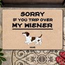Pawzity Personalized Doormat, Gifts For Dog Lovers, Sorry If You Trip Over My Wiener Front Door Mat