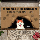 Pawzity No Need To Knock Custom Doormat, Gifts For Pet Lovers, We Know You Are Here Naughty Dog & Cat