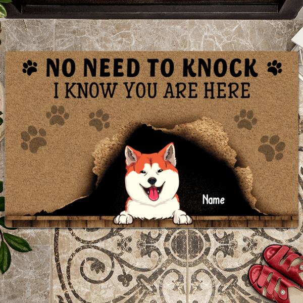 ﻿Pawzity No Need To Knock Custom Doormat, Gifts For Pet Lovers, We Know You Are Here Naughty Dog & Cat