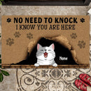 ﻿Pawzity No Need To Knock Custom Doormat, Gifts For Cat Lovers, We Know You Are Here Naughty Cat Front Door Mat