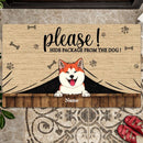 Pawzity Personalized Doormat, Gifts For Dog Lovers, Please Hide Package From The Dogs Outdoor Door Mat