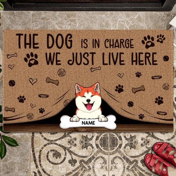 Pawzity Personalized Doormat, Gifts For Dog Lovers, The Dog Is In Charge We Just Live Here Outdoor Door Mat