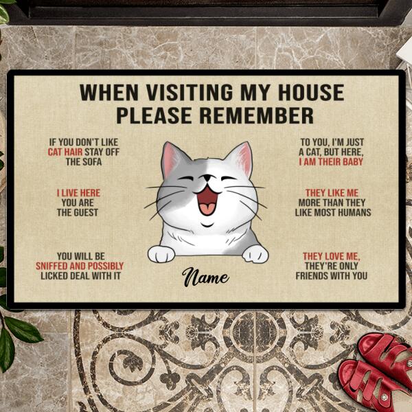 Pawzity Custom Doormat, Gifts For Cat Lovers, When Visiting My House Please Remember Front Door Mat