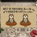 Pawzity Custom Doormat, Gifts For Cat Lovers, Just So You Know There's Like A Bunch Of Cats Live Here Front Door Mat
