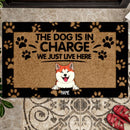 Pawzity Custom Doormat, Gifts For Dog Lovers, The Dogs Are In Charge We Just Live Here Front Door Mat