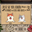 Pawzity Custom Doormat, Gifts For Pet Lovers, Just So You Know There's Like A Bunch Of Cats And Dogs In There