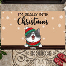 Christmas Personalized Doormat, Gifts For Cat Lovers, We're Really Into Christmas Front Door Mat