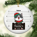 I Stole Santa's Gifts, Naughty Cat, Personalized Cat Breeds Circle Ceramic Ornament, Xmas Gifts For Cat Lovers