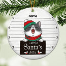 I Stole Santa's Gifts, Naughty Cat, Personalized Cat Breeds Circle Ceramic Ornament, Xmas Gifts For Cat Lovers