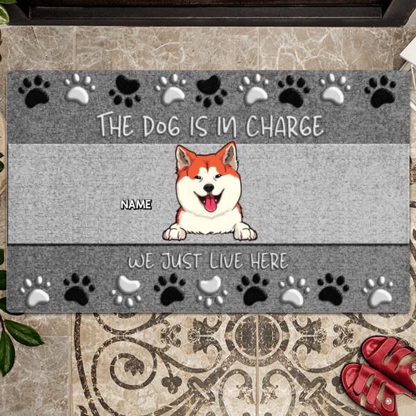 Pawzity Custom Doormat, Gifts For Dog Lovers, The Dog Is In Charge We Just Live Here Gray Front Door Mat
