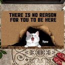 Pawzity Personalized Doormat, Gifts For Cat Lovers, There Is No Reason For You To Be Here Outdoor Door Mat