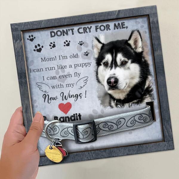 Don't Cry For Me, Pet Memorial, Personalized Dog & Cat Memorial Photo Collar Sign, Loss Of Pet Gifts