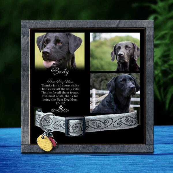 Thanks For All Those Walks, Dog Memorial Keepsake, Personalized Dog Photo Collar Holder, Gifts For Loss Of Dog