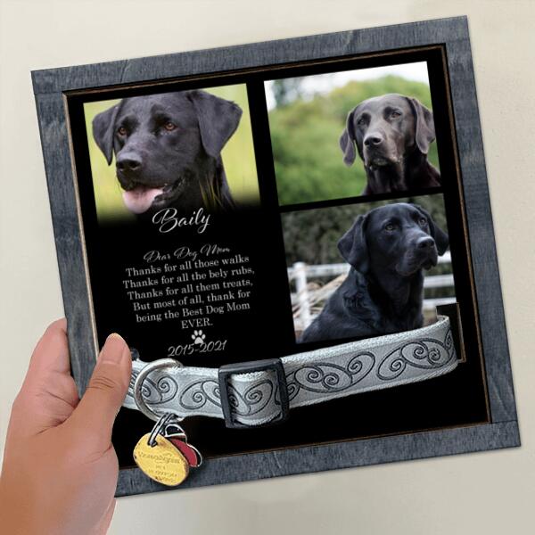 Thanks For All Those Walks, Dog Memorial Keepsake, Personalized Dog Photo Collar Holder, Gifts For Loss Of Dog