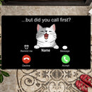 Pawzity Personalized Doormat, Gifts For Cat Lovers, But Did You Call First? Calling Screen Outdoor Door Mat