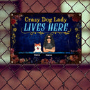 Pawzity Funny Warning Signs, Gifts For Dog Lovers, Crazy Dog Lady Lives Here, Welcome Metal Signs, Dog Mom With Her Dogs