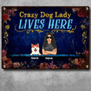 Pawzity Funny Warning Signs, Gifts For Dog Lovers, Crazy Dog Lady Lives Here, Welcome Metal Signs, Dog Mom With Her Dogs