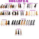 Personalized Christmas Couple With Dog Ornament, Pet Family Ornament, Custom Christmas Ornament, Christmas Keepsake, Family Christmas Gift