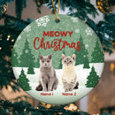 Personalized Cat Ornament, Custom Cat Christmas Ornament, Meowy Christmas Cat Photo Ornament, Cat Portrait Ornament, Cat Holiday Gift