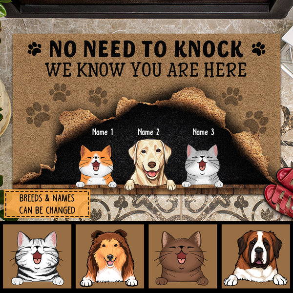 ﻿Pawzity No Need To Knock Custom Doormat, Gifts For Pet Lovers, We Know You Are Here Naughty Dog & Cat