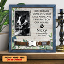 Pet Memorial, Personalized Dog & Cat Memorial Photo Collar Sign, Loss Of Pet Gifts, Best Friends Come Into Our Lives