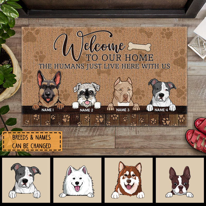 https://pawzity.com/cdn/shop/products/MK_1_1_56b26c79-9ae8-4774-91f1-7f0b5ddb7825_800x.jpg?v=1640925164