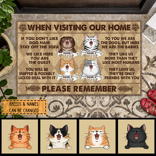 Pawzity Custom Doormat, Gifts For Cat Lovers, When Visiting Our Home Please Remember Front Door Mat