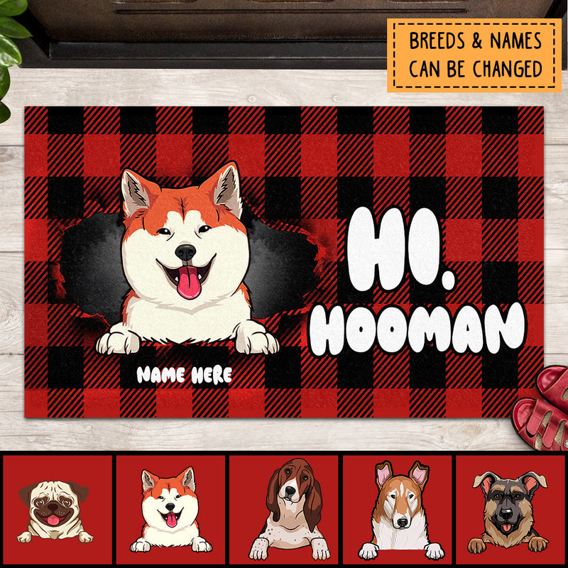 Pawzity Personalized Doormat, Gifts For Dog Lovers, Hi Hooman Buffalo Plaid Front Door Mat