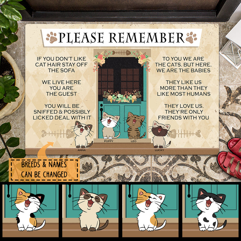 Pawzity Personalized Doormat, Gifts For Cat Lovers, Please Remember We Live Here Front Door Mat