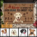 Pawzity Front Door Mat, Gifts For Dog Lovers, Home Is Where The Dogs Run To Greet You Personalized Doormat